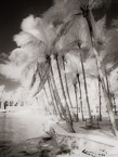 Intracoastal , Palm Beach #YNG-618.  Infrared Photograph,  Stretched and Gallery Wrapped, Limited Edition Archival Print on Canvas:  40 x 56 inches, $1590.  Custom Proportions and Sizes are Available.  For more information or to order please visit our ABOUT page or call us at 561-691-1110.