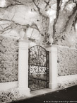 Gate , Palm Beach #YNG-622.  Infrared Photograph,  Stretched and Gallery Wrapped, Limited Edition Archival Print on Canvas:  40 x 56 inches, $1590.  Custom Proportions and Sizes are Available.  For more information or to order please visit our ABOUT page or call us at 561-691-1110.
