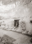 Tropical Garden, Palm Beach #YNG-629.  Infrared Photograph,  Stretched and Gallery Wrapped, Limited Edition Archival Print on Canvas:  40 x 56 inches, $1590.  Custom Proportions and Sizes are Available.  For more information or to order please visit our ABOUT page or call us at 561-691-1110.