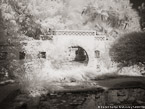 Tropical Garden, Palm Beach #YNG-632.  Infrared Photograph,  Stretched and Gallery Wrapped, Limited Edition Archival Print on Canvas:  56 x 40 inches, $1590.  Custom Proportions and Sizes are Available.  For more information or to order please visit our ABOUT page or call us at 561-691-1110.