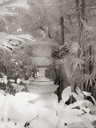 Tropical Garden, Palm Beach #YNG-635.  Infrared Photograph,  Stretched and Gallery Wrapped, Limited Edition Archival Print on Canvas:  40 x 56 inches, $1590.  Custom Proportions and Sizes are Available.  For more information or to order please visit our ABOUT page or call us at 561-691-1110.