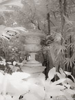 Tropical Garden, Palm Beach #YNG-635.  Infrared Photograph,  Stretched and Gallery Wrapped, Limited Edition Archival Print on Canvas:  40 x 56 inches, $1590.  Custom Proportions and Sizes are Available.  For more information or to order please visit our ABOUT page or call us at 561-691-1110.