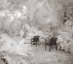 Tropical Garden, Palm Beach #YNG-645.  Infrared Photograph,  Stretched and Gallery Wrapped, Limited Edition Archival Print on Canvas:  40 x 44 inches, $1530.  Custom Proportions and Sizes are Available.  For more information or to order please visit our ABOUT page or call us at 561-691-1110.