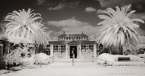 Tropical Garden, Palm Beach #YNG-664.  Infrared Photograph,  Stretched and Gallery Wrapped, Limited Edition Archival Print on Canvas:  68 x 36 inches, $1620.  Custom Proportions and Sizes are Available.  For more information or to order please visit our ABOUT page or call us at 561-691-1110.