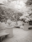 Tropical Garden, Palm Beach #YNG-672.  Infrared Photograph,  Stretched and Gallery Wrapped, Limited Edition Archival Print on Canvas:  40 x 56 inches, $1590.  Custom Proportions and Sizes are Available.  For more information or to order please visit our ABOUT page or call us at 561-691-1110.