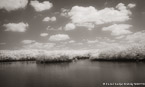 Tropical River, Jupiter  #YNG-722.  Infrared Photograph,  Stretched and Gallery Wrapped, Limited Edition Archival Print on Canvas:  68 x 40 inches, $1620.  Custom Proportions and Sizes are Available.  For more information or to order please visit our ABOUT page or call us at 561-691-1110.