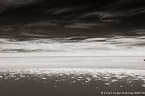 Clouds ,   #YNS-646.  Black-White Photograph,  Stretched and Gallery Wrapped, Limited Edition Archival Print on Canvas:  60 x 40 inches, $1590.  Custom Proportions and Sizes are Available.  For more information or to order please visit our ABOUT page or call us at 561-691-1110.