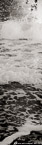 Ocean Waves,   #YNS-438.  Black-White Photograph,  Stretched and Gallery Wrapped, Limited Edition Archival Print on Canvas:  24 x 72 inches, $1560.  Custom Proportions and Sizes are Available.  For more information or to order please visit our ABOUT page or call us at 561-691-1110.
