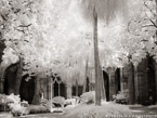 , Barcelona Spain #YNL-275.  Infrared Photograph,  Stretched and Gallery Wrapped, Limited Edition Archival Print on Canvas:  56 x 40 inches, $1590.  Custom Proportions and Sizes are Available.  For more information or to order please visit our ABOUT page or call us at 561-691-1110.