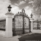 Gate , Palm Beach #YNL-312.  Infrared Photograph,  Stretched and Gallery Wrapped, Limited Edition Archival Print on Canvas:  40 x 40 inches, $1500.  Custom Proportions and Sizes are Available.  For more information or to order please visit our ABOUT page or call us at 561-691-1110.