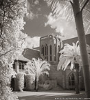 , Palm Beach #YNL-326.  Infrared Photograph,  Stretched and Gallery Wrapped, Limited Edition Archival Print on Canvas:  40 x 44 inches, $1530.  Custom Proportions and Sizes are Available.  For more information or to order please visit our ABOUT page or call us at 561-691-1110.