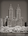 , New York #YNL-380.  Infrared Photograph,  Stretched and Gallery Wrapped, Limited Edition Archival Print on Canvas:  40 x 56 inches, $1590.  Custom Proportions and Sizes are Available.  For more information or to order please visit our ABOUT page or call us at 561-691-1110.