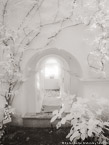 Garden , Capri Italy #YNL-413.  Infrared Photograph,  Stretched and Gallery Wrapped, Limited Edition Archival Print on Canvas:  40 x 56 inches, $1590.  Custom Proportions and Sizes are Available.  For more information or to order please visit our ABOUT page or call us at 561-691-1110.
