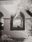 Garden , Capri Italy #YNL-415.  Infrared Photograph,  Stretched and Gallery Wrapped, Limited Edition Archival Print on Canvas:  40 x 56 inches, $1590.  Custom Proportions and Sizes are Available.  For more information or to order please visit our ABOUT page or call us at 561-691-1110.