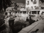 Garden , Capri Italy #YNL-419.  Infrared Photograph,  Stretched and Gallery Wrapped, Limited Edition Archival Print on Canvas:  56 x 40 inches, $1590.  Custom Proportions and Sizes are Available.  For more information or to order please visit our ABOUT page or call us at 561-691-1110.