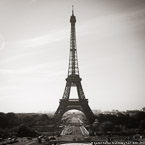 Eiffel Tower, Paris France #YNL-796.  Black-White Photograph,  Stretched and Gallery Wrapped, Limited Edition Archival Print on Canvas:  40 x 40 inches, $1500.  Custom Proportions and Sizes are Available.  For more information or to order please visit our ABOUT page or call us at 561-691-1110.
