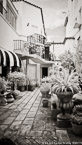 Tropical Garden, Palm Beach #YNL-022.  Infrared Photograph,  Stretched and Gallery Wrapped, Limited Edition Archival Print on Canvas:  40 x 72 inches, $1620.  Custom Proportions and Sizes are Available.  For more information or to order please visit our ABOUT page or call us at 561-691-1110.