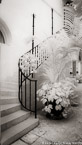 Stairs , Palm Beach #YNL-024.  Infrared Photograph,  Stretched and Gallery Wrapped, Limited Edition Archival Print on Canvas:  40 x 72 inches, $1620.  Custom Proportions and Sizes are Available.  For more information or to order please visit our ABOUT page or call us at 561-691-1110.