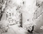 Tropical Garden, Palm Beach #YNL-064.  Infrared Photograph,  Stretched and Gallery Wrapped, Limited Edition Archival Print on Canvas:  50 x 40 inches, $1560.  Custom Proportions and Sizes are Available.  For more information or to order please visit our ABOUT page or call us at 561-691-1110.