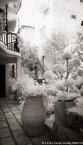 Tropical Garden, Palm Beach #YNL-077.  Infrared Photograph,  Stretched and Gallery Wrapped, Limited Edition Archival Print on Canvas:  40 x 68 inches, $1620.  Custom Proportions and Sizes are Available.  For more information or to order please visit our ABOUT page or call us at 561-691-1110.