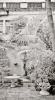Via , Palm Beach #YNL-098.  Infrared Photograph,  Stretched and Gallery Wrapped, Limited Edition Archival Print on Canvas:  36 x 68 inches, $1620.  Custom Proportions and Sizes are Available.  For more information or to order please visit our ABOUT page or call us at 561-691-1110.