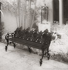 Bench , Palm Beach #YNL-100.  Infrared Photograph,  Stretched and Gallery Wrapped, Limited Edition Archival Print on Canvas:  40 x 40 inches, $1500.  Custom Proportions and Sizes are Available.  For more information or to order please visit our ABOUT page or call us at 561-691-1110.