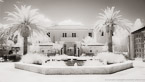 Tropical Garden, Palm Beach #YNL-109.  Infrared Photograph,  Stretched and Gallery Wrapped, Limited Edition Archival Print on Canvas:  72 x 40 inches, $1620.  Custom Proportions and Sizes are Available.  For more information or to order please visit our ABOUT page or call us at 561-691-1110.
