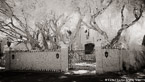 Gate , Palm Beach #YNL-114.  Infrared Photograph,  Stretched and Gallery Wrapped, Limited Edition Archival Print on Canvas:  72 x 40 inches, $1620.  Custom Proportions and Sizes are Available.  For more information or to order please visit our ABOUT page or call us at 561-691-1110.