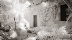 Tropical Garden, Palm Beach #YNL-120.  Infrared Photograph,  Stretched and Gallery Wrapped, Limited Edition Archival Print on Canvas:  72 x 40 inches, $1620.  Custom Proportions and Sizes are Available.  For more information or to order please visit our ABOUT page or call us at 561-691-1110.