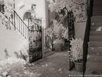 Via , Palm Beach #YNL-157.  Infrared Photograph,  Stretched and Gallery Wrapped, Limited Edition Archival Print on Canvas:  56 x 40 inches, $1590.  Custom Proportions and Sizes are Available.  For more information or to order please visit our ABOUT page or call us at 561-691-1110.