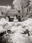 Tropical Garden, Palm Beach #YNL-163.  Infrared Photograph,  Stretched and Gallery Wrapped, Limited Edition Archival Print on Canvas:  40 x 56 inches, $1590.  Custom Proportions and Sizes are Available.  For more information or to order please visit our ABOUT page or call us at 561-691-1110.