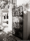 Tropical Garden, Palm Beach #YNL-164.  Infrared Photograph,  Stretched and Gallery Wrapped, Limited Edition Archival Print on Canvas:  40 x 56 inches, $1590.  Custom Proportions and Sizes are Available.  For more information or to order please visit our ABOUT page or call us at 561-691-1110.