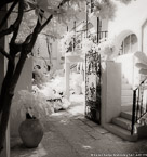 Tropical Garden, Palm Beach #YNL-168.  Infrared Photograph,  Stretched and Gallery Wrapped, Limited Edition Archival Print on Canvas:  40 x 44 inches, $1530.  Custom Proportions and Sizes are Available.  For more information or to order please visit our ABOUT page or call us at 561-691-1110.