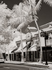 Worth Avenue, Palm Beach #YNL-169.  Infrared Photograph,  Stretched and Gallery Wrapped, Limited Edition Archival Print on Canvas:  40 x 56 inches, $1590.  Custom Proportions and Sizes are Available.  For more information or to order please visit our ABOUT page or call us at 561-691-1110.