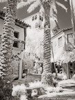 Via , Palm Beach #YNL-192.  Infrared Photograph,  Stretched and Gallery Wrapped, Limited Edition Archival Print on Canvas:  40 x 56 inches, $1590.  Custom Proportions and Sizes are Available.  For more information or to order please visit our ABOUT page or call us at 561-691-1110.