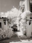 Via , Palm Beach #YNL-203.  Infrared Photograph,  Stretched and Gallery Wrapped, Limited Edition Archival Print on Canvas:  40 x 56 inches, $1590.  Custom Proportions and Sizes are Available.  For more information or to order please visit our ABOUT page or call us at 561-691-1110.