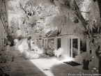 Via , Palm Beach #YNL-218.  Infrared Photograph,  Stretched and Gallery Wrapped, Limited Edition Archival Print on Canvas:  56 x 40 inches, $1590.  Custom Proportions and Sizes are Available.  For more information or to order please visit our ABOUT page or call us at 561-691-1110.