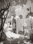 Via , Palm Beach #YNL-237.  Infrared Photograph,  Stretched and Gallery Wrapped, Limited Edition Archival Print on Canvas:  40 x 56 inches, $1590.  Custom Proportions and Sizes are Available.  For more information or to order please visit our ABOUT page or call us at 561-691-1110.