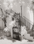 Via , Palm Beach #YNL-243.  Infrared Photograph,  Stretched and Gallery Wrapped, Limited Edition Archival Print on Canvas:  40 x 50 inches, $1560.  Custom Proportions and Sizes are Available.  For more information or to order please visit our ABOUT page or call us at 561-691-1110.