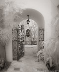 Gate , Palm Beach #YNL-248.  Infrared Photograph,  Stretched and Gallery Wrapped, Limited Edition Archival Print on Canvas:  40 x 50 inches, $1560.  Custom Proportions and Sizes are Available.  For more information or to order please visit our ABOUT page or call us at 561-691-1110.