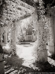Tropical Garden, Palm Beach #YNL-265.  Infrared Photograph,  Stretched and Gallery Wrapped, Limited Edition Archival Print on Canvas:  40 x 56 inches, $1590.  Custom Proportions and Sizes are Available.  For more information or to order please visit our ABOUT page or call us at 561-691-1110.