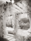 Tropical Garden, Palm Beach #YNL-266.  Infrared Photograph,  Stretched and Gallery Wrapped, Limited Edition Archival Print on Canvas:  40 x 56 inches, $1590.  Custom Proportions and Sizes are Available.  For more information or to order please visit our ABOUT page or call us at 561-691-1110.