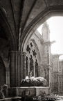 , Barcelona Spain #YNG-582.  Black-White Photograph,  Stretched and Gallery Wrapped, Limited Edition Archival Print on Canvas:  40 x 68 inches, $1620.  Custom Proportions and Sizes are Available.  For more information or to order please visit our ABOUT page or call us at 561-691-1110.