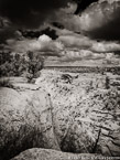 Mesa Verde, Colorado  #YNG-596.  Infrared Photograph,  Stretched and Gallery Wrapped, Limited Edition Archival Print on Canvas:  40 x 56 inches, $1590.  Custom Proportions and Sizes are Available.  For more information or to order please visit our ABOUT page or call us at 561-691-1110.