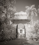 Tropical Garden, Udaipur India #YNL-832.  Infrared Photograph,  Stretched and Gallery Wrapped, Limited Edition Archival Print on Canvas:  40 x 44 inches, $1530.  Custom Proportions and Sizes are Available.  For more information or to order please visit our ABOUT page or call us at 561-691-1110.