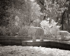 Tropical Garden, Udaipur India #YNL-845.  Infrared Photograph,  Stretched and Gallery Wrapped, Limited Edition Archival Print on Canvas:  50 x 40 inches, $1560.  Custom Proportions and Sizes are Available.  For more information or to order please visit our ABOUT page or call us at 561-691-1110.