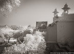 , Udaipur India #YNL-851.  Infrared Photograph,  Stretched and Gallery Wrapped, Limited Edition Archival Print on Canvas:  56 x 40 inches, $1590.  Custom Proportions and Sizes are Available.  For more information or to order please visit our ABOUT page or call us at 561-691-1110.