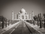 Taj Mahal, Agra India #YNL-861.  Infrared Photograph,  Stretched and Gallery Wrapped, Limited Edition Archival Print on Canvas:  56 x 40 inches, $1590.  Custom Proportions and Sizes are Available.  For more information or to order please visit our ABOUT page or call us at 561-691-1110.