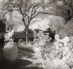 Garden , Positano Italy #YNL-895.  Infrared Photograph,  Stretched and Gallery Wrapped, Limited Edition Archival Print on Canvas:  40 x 44 inches, $1530.  Custom Proportions and Sizes are Available.  For more information or to order please visit our ABOUT page or call us at 561-691-1110.