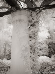Column , Capri Italy #YNL-924.  Infrared Photograph,  Stretched and Gallery Wrapped, Limited Edition Archival Print on Canvas:  40 x 56 inches, $1590.  Custom Proportions and Sizes are Available.  For more information or to order please visit our ABOUT page or call us at 561-691-1110.
